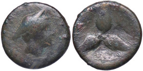 GRECHE - LUCANIA - Metaponto - AE 12 S. Cop. 1264 (AE g. 1,75) En Inasta 60, lotto 186
 En Inasta 60, lotto 186
meglio di MB