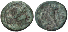GRECHE - LUCANIA - Paestum - Triente S. Cop. 1331/6 (AE g. 3,78)
 
qBB