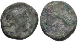 GRECHE - LUCANIA - Paestum - Oncia Mont. 2664; S. Ans. 767 (AE g. 2,8)
 
meglio di MB