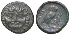 GRECHE - SICILIA - Camarina - Tetras Mont. 4011; S. Ans. 1221 (AE g. 2,82)
 
BB+