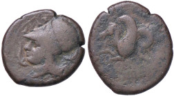 GRECHE - SICILIA - Siracusa (425-IV sec. a.C.) - Litra Mont. 5079; S. Ans. 447 (AE g. 5,87)
 
qBB