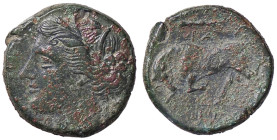 GRECHE - SICILIA - Siracusa - Agatocle (317-289 a.C.) - AE 19 Mont. 5141; S. Ans. 598 (AE g. 5,73) Sedimenti
 Sedimenti
BB