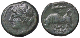 GRECHE - SICILIA - Siracusa - Agatocle (317-289 a.C.) - AE 16 Mont. 5141; S. Ans. 598 (AE g. 4,53)
 
BB+