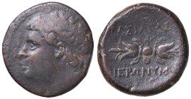 GRECHE - SICILIA - Siracusa - Geronimo (215-214 a.C.) - AE 21 Mont. 5114; S. Cop. 875 (AE g. 8,51)
 
BB