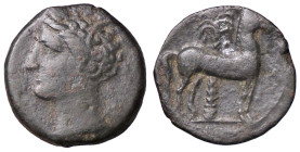 GRECHE - SICILIA - Siculo-Puniche - AE 17 Mont. 5543; S. Cop. 1002 (AE g. 2,34)
 
BB
