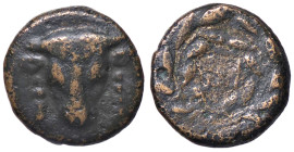 GRECHE - PHOKIS - Lega di Phokis - AE 16 BMC 94 (AE g. 4,38)
 
BB/qBB