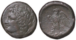 GRECHE - CARIA - Halikarnassos - AE 22 (AE g. 12)
 
qSPL