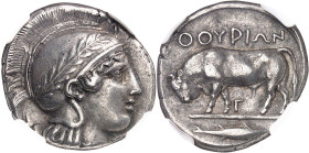 GRÈCE ANTIQUE
Lucanie, Thurium. Statère ou nomos ND (443-400 av. J.-C.), Thurium.
NGC XF 5/5 5/5 (5788894-013).
Av. Tête d'Athéna à droite, coiffée...