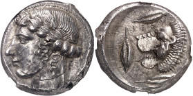 GRÈCE ANTIQUE
Sicile, Leontini. Tétradrachme ND (c.430-425 av. J.-C.), Leontini.
NGC Ch AU 3/5 5/5 flan flaws (5790005-016).
Av. Tête laurée d'Apol...