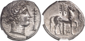 GRÈCE ANTIQUE
Sicile, émissions siculo-puniques. Tétradrachme ND (350-315 av. J.-C.), Entella.
NGC Ch AU 4/5 5/5 (5790005-012).
Av. Tête laurée à d...