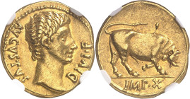 EMPIRE ROMAIN
Auguste (27 av. J.-C. - 14 ap. J.-C.). Aureus ND (14-12 av. J.-C.), Lyon.
NGC AU 5/5 4/5 (5788896-003).
Av. DIVI F AVGVSTVS. Tête nue...