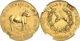 ARGENTINE
Confédération argentine (1831-1861). Médaille d’Or, surfrappée sur un 4 escudos 1787 Madrid, constitution provinciale de Buenos Aires 1854,...