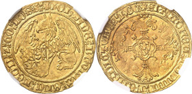 BELGIQUE
Liège (évêché de), Jean de Bavière (1389-1418). Griffon d’or ND (1389-1418), Liège.
NGC MS 64 (5783258-011).
Av. + IOHSx DEx BAVAIAx EL’Cx...