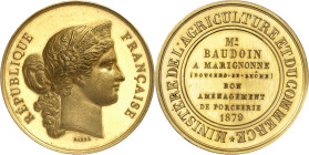 FRANCE
IIIe République (1870-1940). Médaille d’Or, concours agricole “bon aménagement de porcherie”, par Barre 1879, Paris.
Av. RÉPUBLIQUE FRANÇAISE...