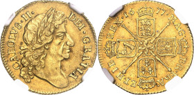 GRANDE-BRETAGNE
Charles II (1660-1685). Guinée 1677, Londres.
NGC AU 53 (6389234-083).
Av. CAROLUS. II. DEI. GRATIA. Buste du Roi à droite, la tête...