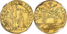 ITALIE
Venise, Silvestro Valier (1694-1700). Oselle de 4 sequins An I (1694), Venise.
NGC AU 58 (2117145-049).
Av. *S. M. V. SILVESTER. VALERIO. D*...