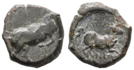 Griechen Apulien
Arpi Æ 20 275-250 v.u.Z. Av.: Stier nach rechts, Rv.: Pferd nach rechts, dunkelgrüne Patina SNG ANS 640 7.94 g. ss-vz