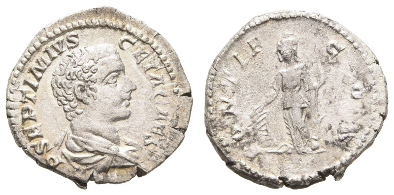 Römer Kaiserzeit
Septimius Severus, 193-211 AR Denar 203-208 n. Chr. Rom Fürprä...