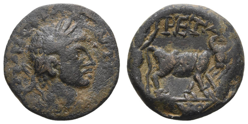 Römer Kaiserzeit
Elagabalus, 218-222 Æ Petra Av.: Büste mit Lorbeerkranz in Pan...