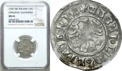 Medieval coins 
POLSKA / POLAND / POLEN / SCHLESIEN

Alexander Jagiellończyk (1501–1506). Half Grosz (Groschen) (1/2 groschen) bez daty, Vilnius NG...