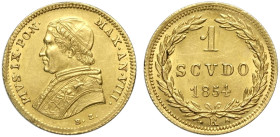 Roma, Pio IX (1846-1870), Scudo stretto 1854 anno VIII, Au mm 14,5 SPL+