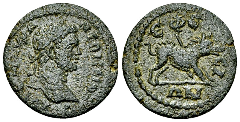 Caracalla AE19, Ephesus 

Caracalla (198-217 AD). AE19 (3.14 g), Ionia, Ephesu...