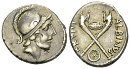 Albinus Bruti AR Denarius, 48 BC