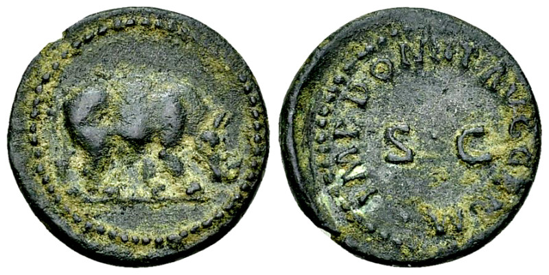 Domitianus AE Quadrans, Rhinoceros reverse 

Domitianus (81-96 AD). AE Quadran...