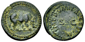 Domitianus AE Quadrans, Rhinoceros reverse