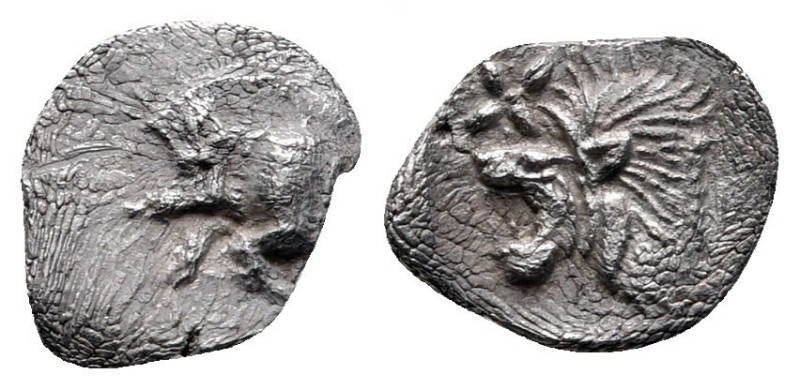 Hemibol AR
Mysia, Kysikos, c. 480 BC, Forepart of a boar to the left tunny fish...