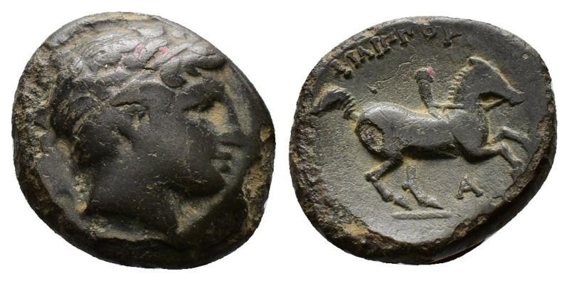 Bronze AE
Macedon, Alexander III the Great (336-323), Head of Herakles right, w...