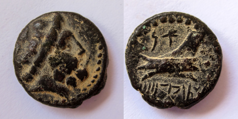 Bronze AE
Phoenicia, Arados c. 242-166 BC
19 mm