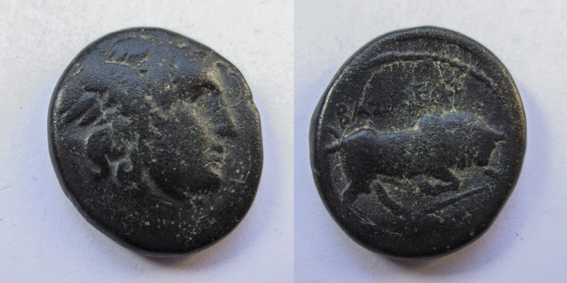 Bronze AE
Ancient greek coin
23 mm