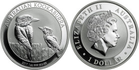 1 Oz AR
Australia, Kookaburra 2017
31,10 g