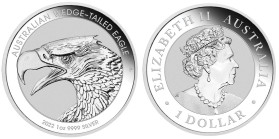 1 OZ AR
Australia, Wedge Tailed Eagle 2022
31,10 g