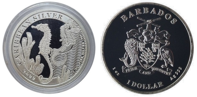 1 OZ AR
Barbados, Seepferdchen 2022
31,10 g