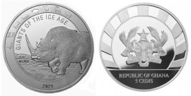 1 OZ AR
Giganten der Eiszeit, Wollnashorn
31,10 g