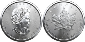 1 OZ AR
Canada Maple Leaf 2022
31,10 g