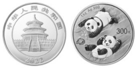 10 Juan AR
China, Panda 2022
30 g