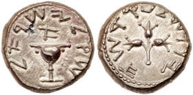 Judaea, The Jewish War. Silver Shekel (13.79 g), 66-70 CE