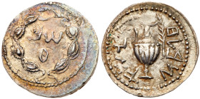 Judaea, Bar Kokhba Revolt. Silver Zuz (3.44 g), 132-135 CE