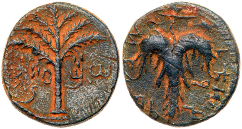 Judaea, Bar Kokhba Revolt. &AElig; Medium Bronze (9.80 g), 132-135 CE. Year 2 (1...