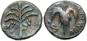 Judaea, Bar Kokhba Revolt. Æ Medium Bronze (9.41 g), 132-135 CE
