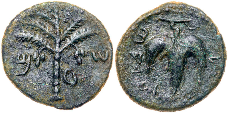 Judaea, Bar Kokhba Revolt. &AElig; Medium Bronze (8.98 g), 132-135 CE. Irregular...