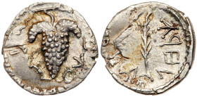 Judaea, Bar Kokhba Revolt. Silver Zuz (3.12 g), 132-135 CE