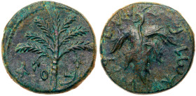 Judaea, Bar Kokhba Revolt. Æ Medium Bronze (12.03 g), 132-135 CE