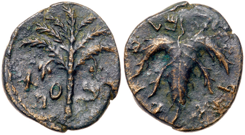 Judaea, Bar Kokhba Revolt. &AElig; Medium Bronze (7.41 g), 132-135 CE. Undated, ...
