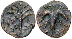 Judaea, Bar Kokhba Revolt. Æ Medium Bronze (7.41 g), 132-135 CE