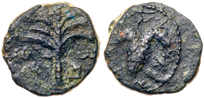Judaea, Bar Kokhba Revolt. &AElig; Small Bronze (4.53 g), 132-135 CE. Undated, a...