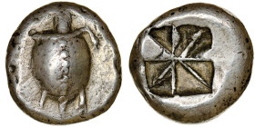 Égine
Stater,environ 525-480 avant J.C., AG 11.95 g.
Avers : Tortue de mer, tête de profil, avec collier fin et rangée de points sur le dos.
Revers : ...